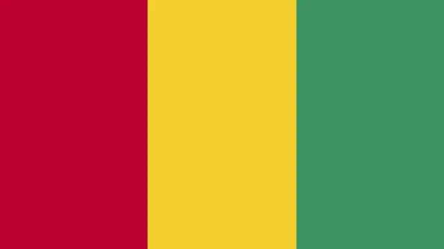 Guinea animated flag