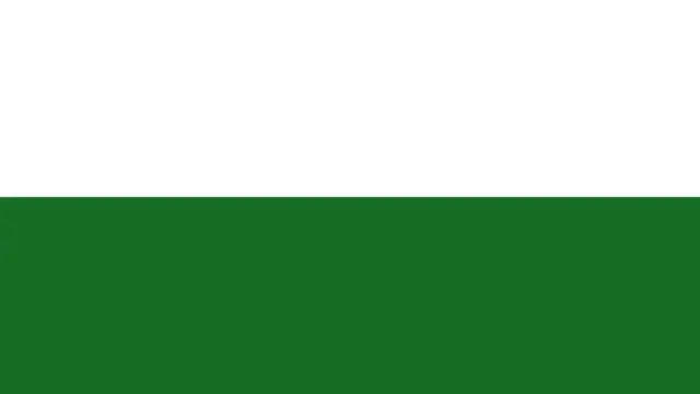 Saxony animated flag