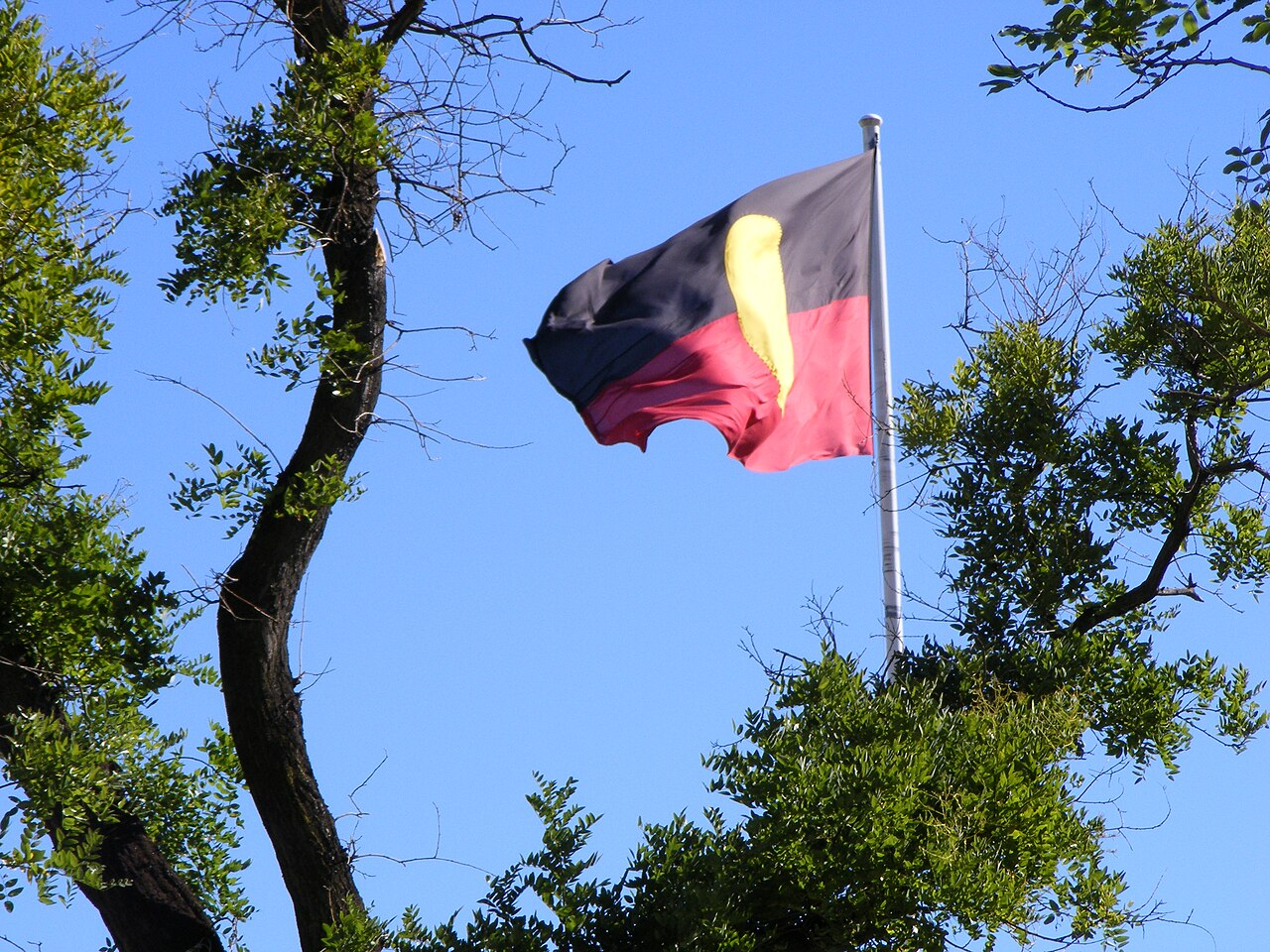 1. Meaning of the Flag