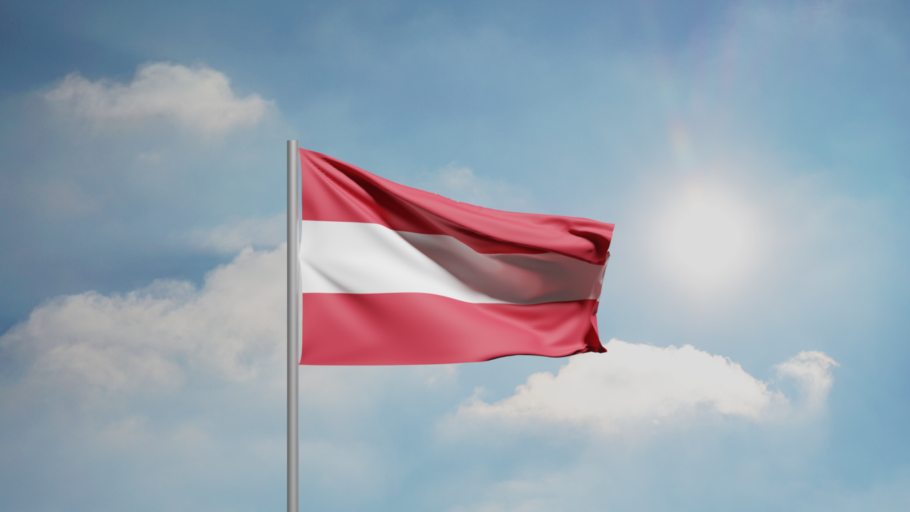 1. Meaning of the Flag