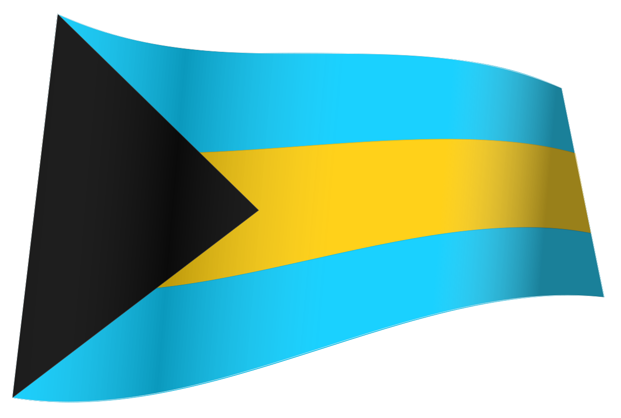 1. Meaning of the Flag