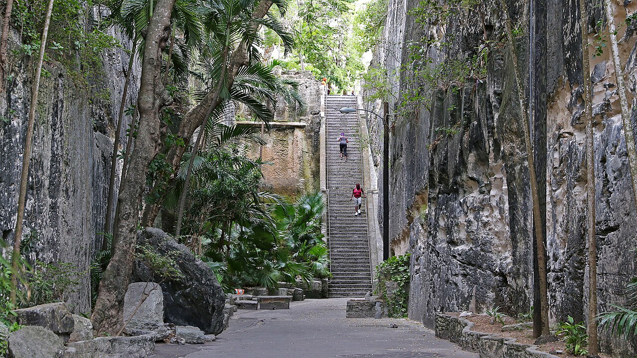 4. Overview & Attractions