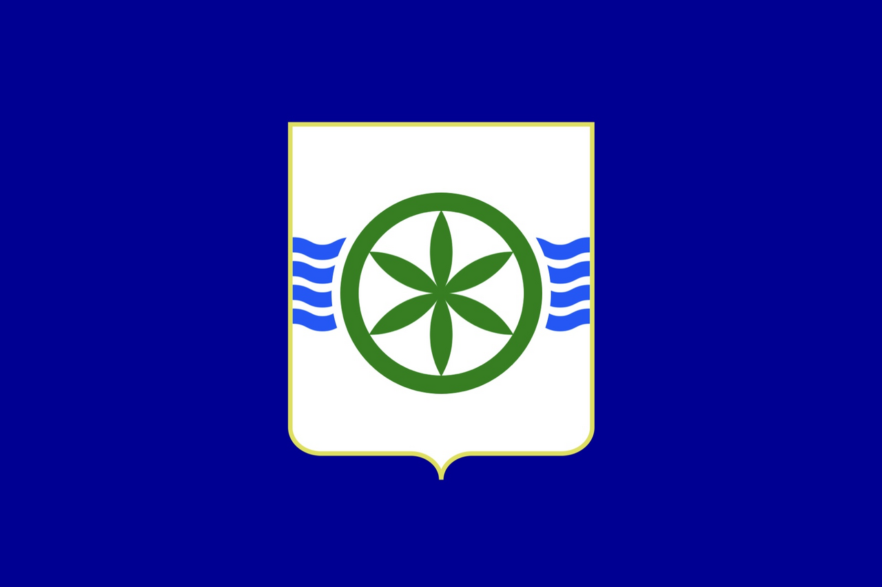 1. Meaning of the Flag