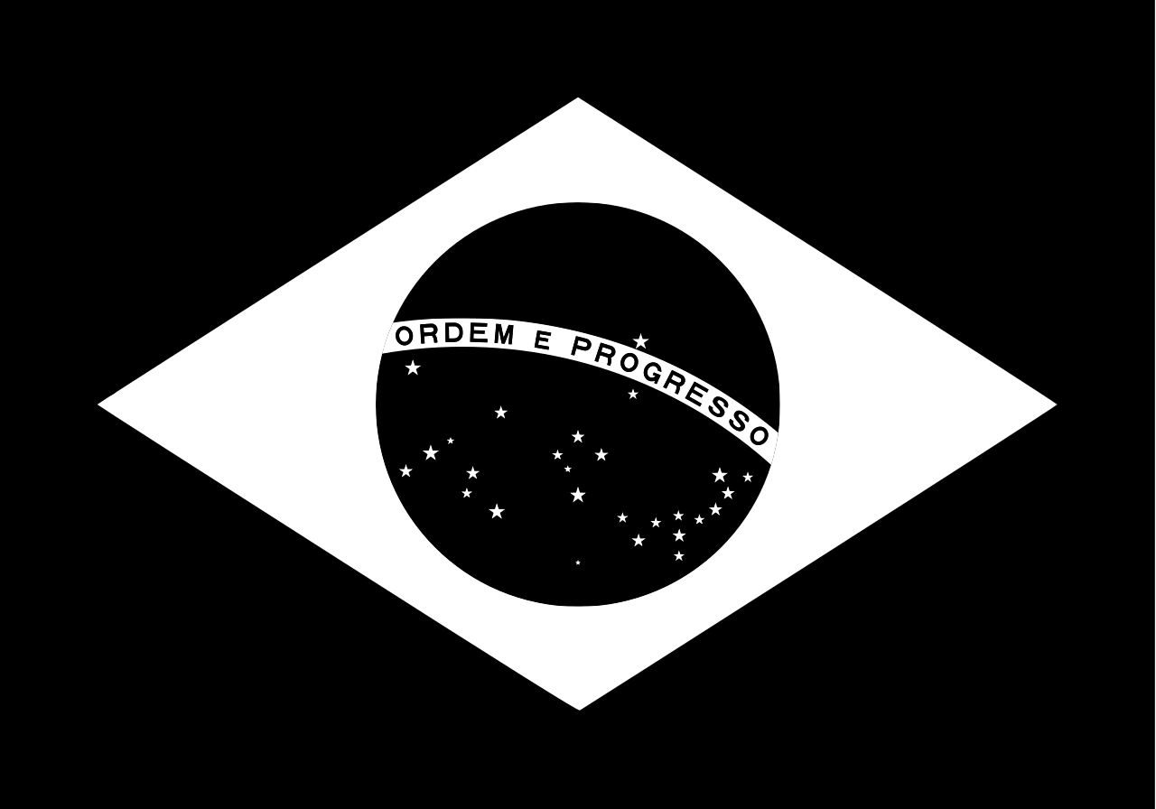 1. Meaning of the Flag