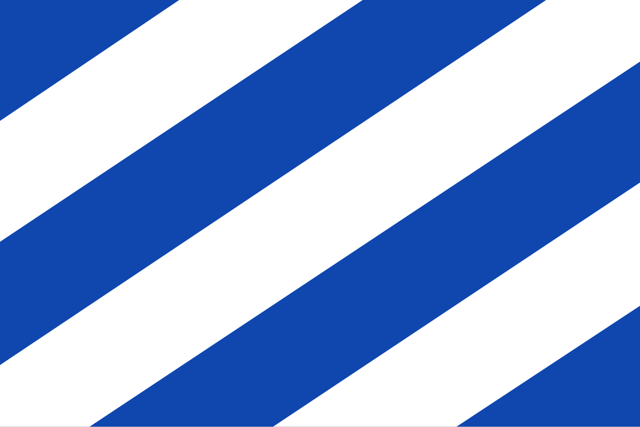 1. Meaning of the Flag