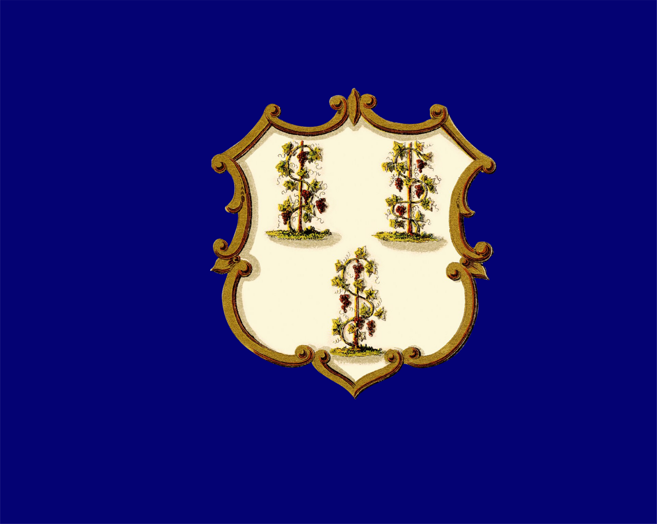 1. Meaning of the Flag