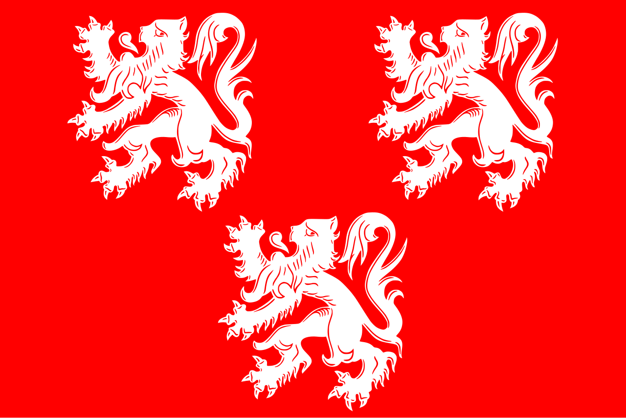 1. Meaning of the Flag