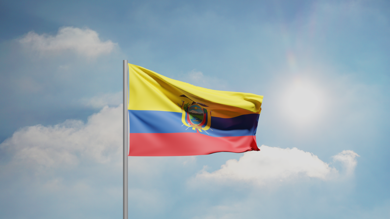 1. Meaning of the Flag