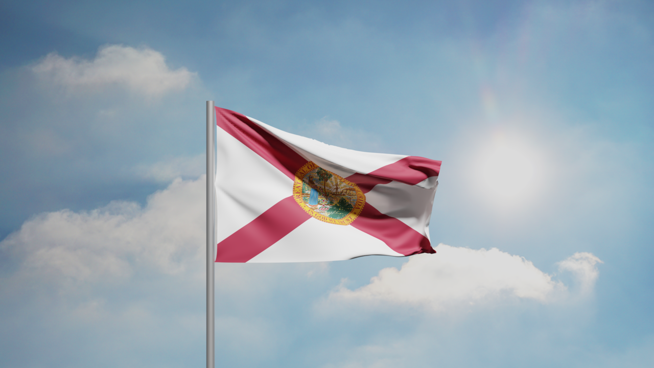 1. Meaning of the Flag