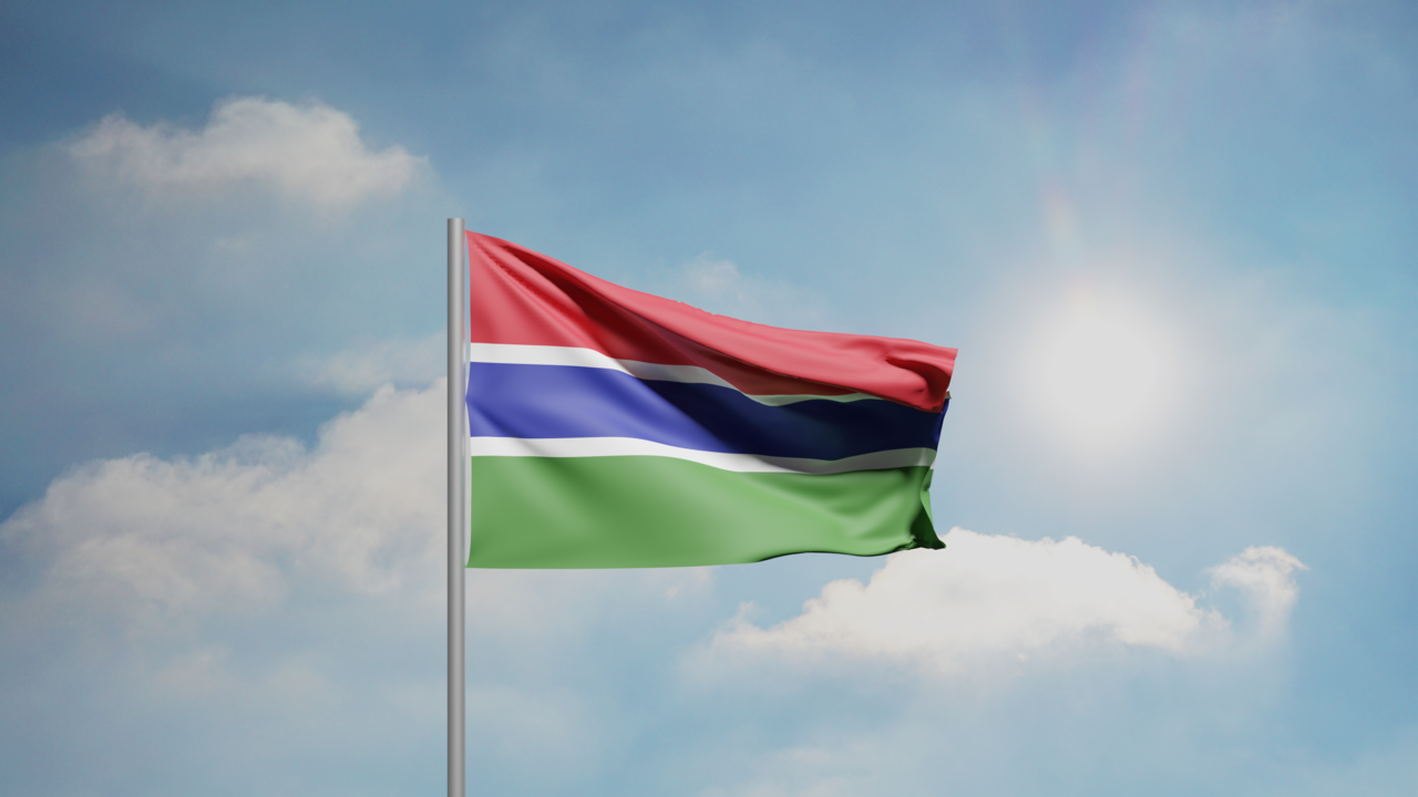 1. Meaning of the Flag