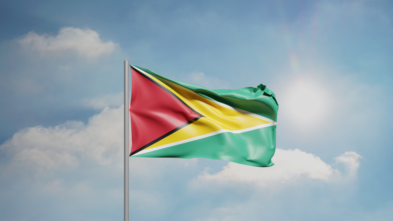1. Meaning of the Flag