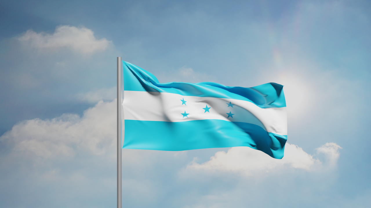 1. Meaning of the Flag