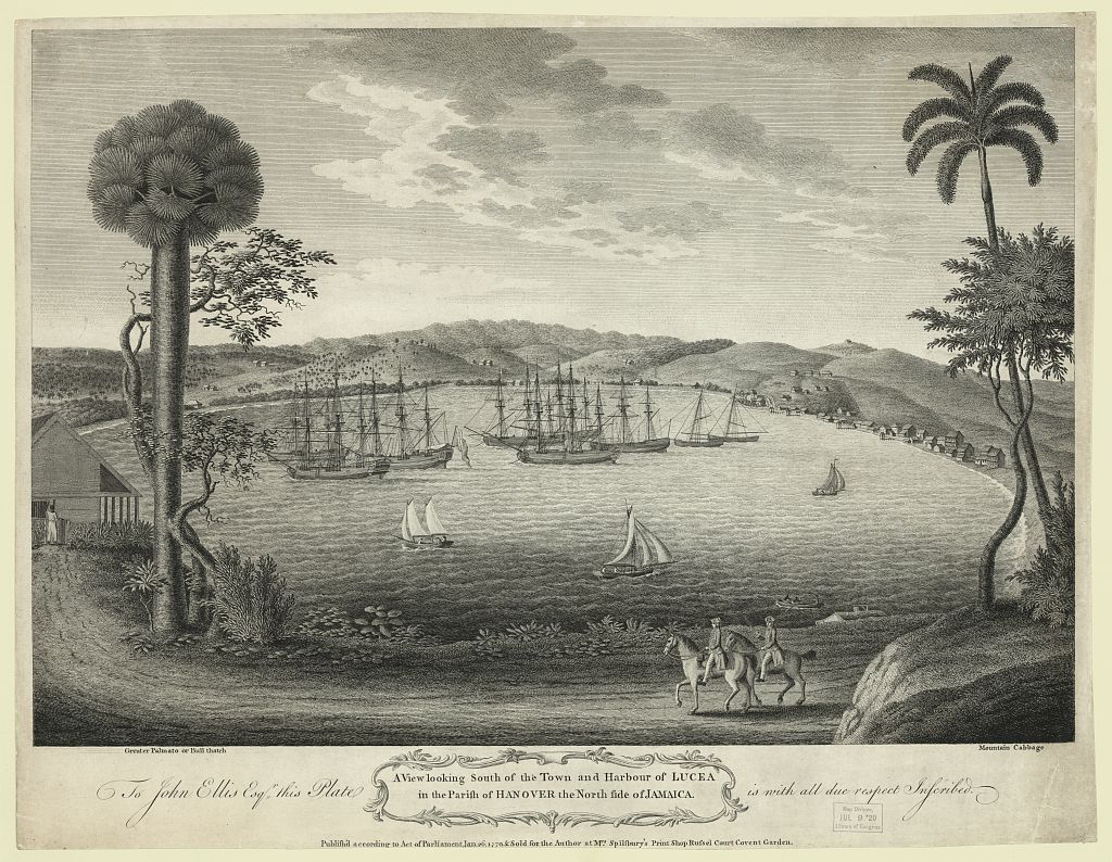 4. Overview & Attractions
