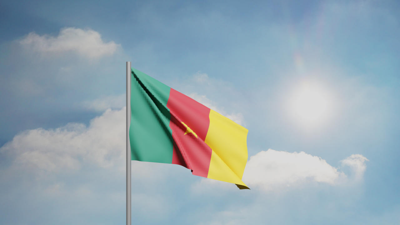 1. Meaning of the Flag