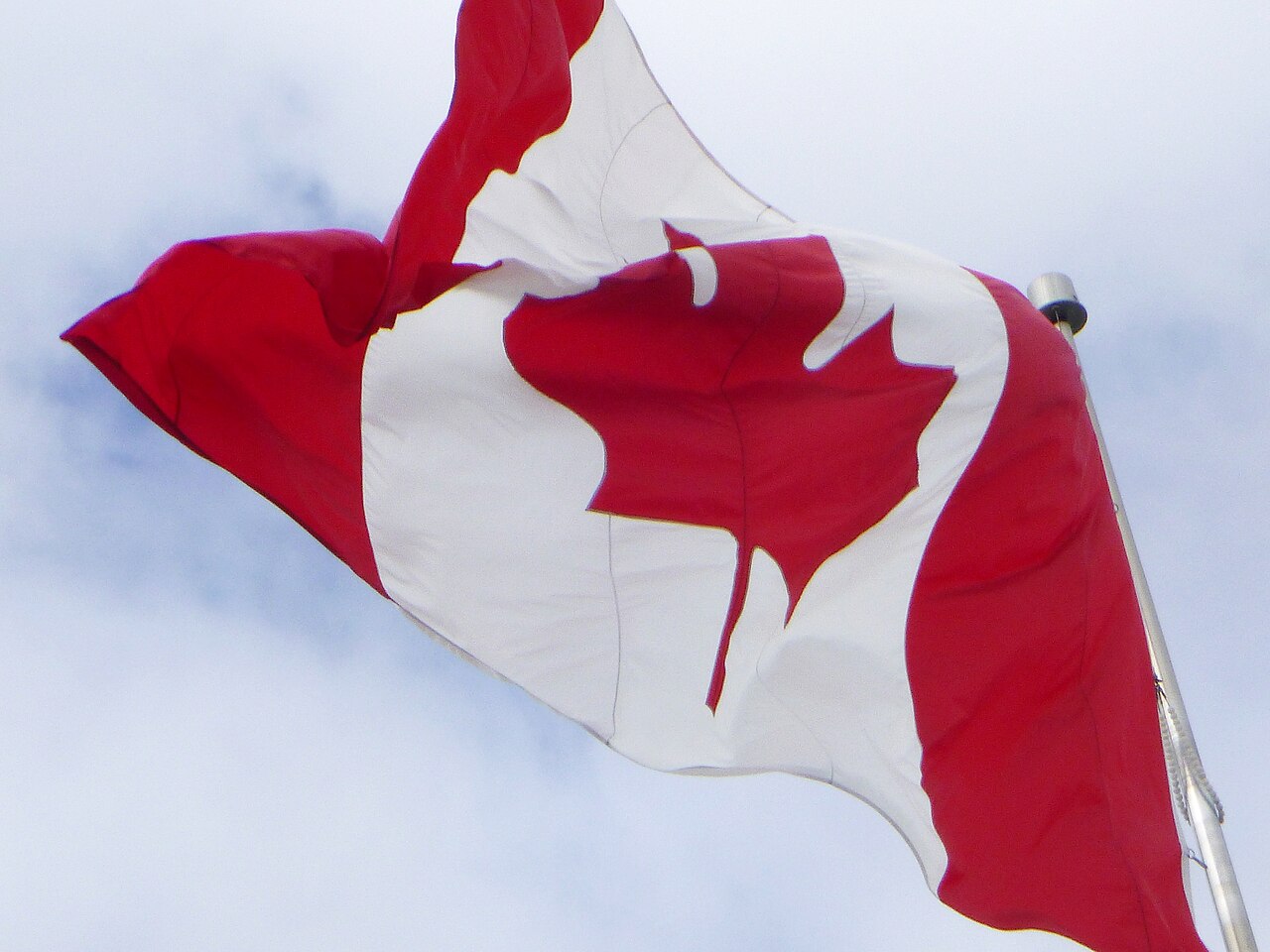 1. Meaning of the Flag