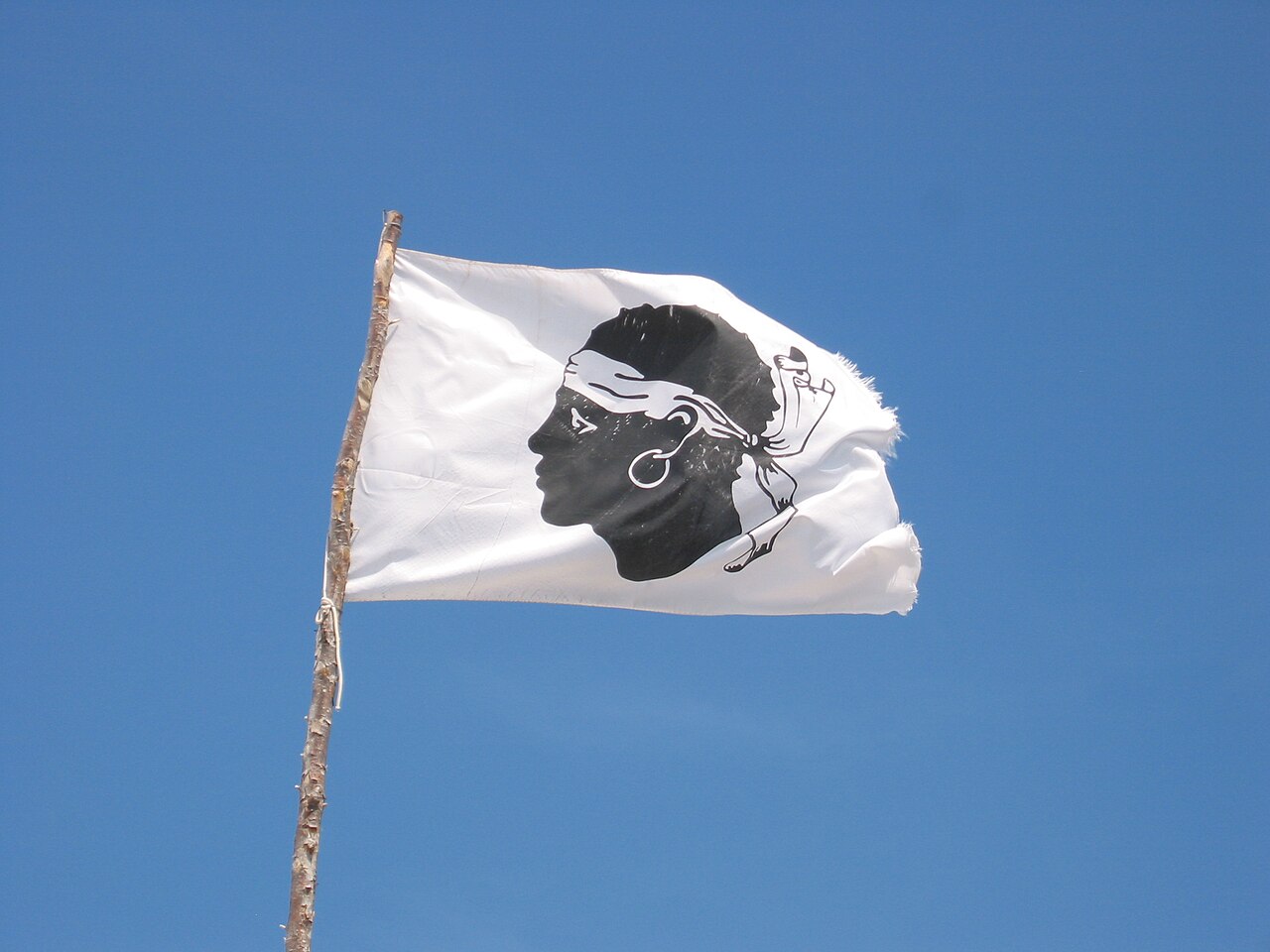 1. Meaning of the Flag