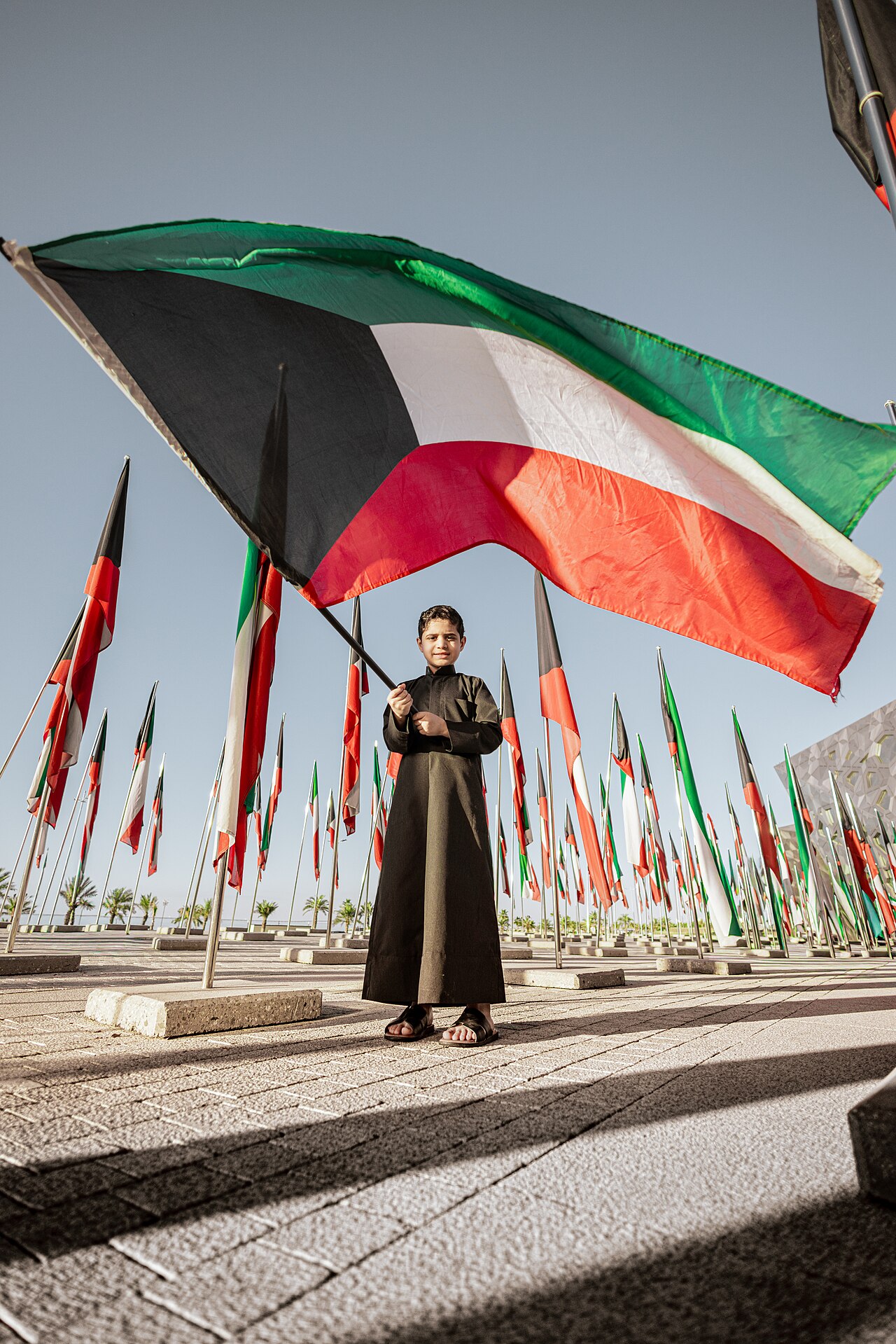1. Meaning of the Flag