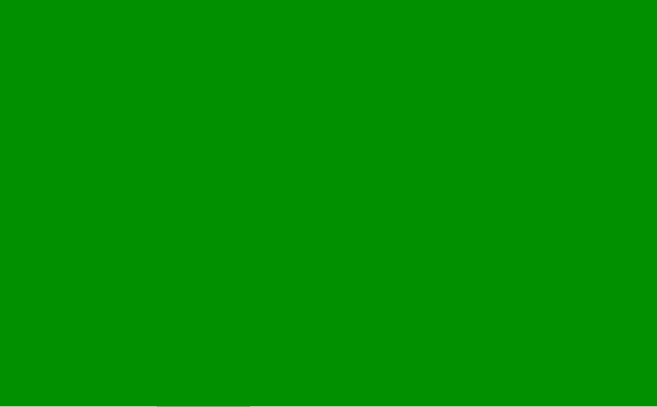 1. Meaning of the Flag