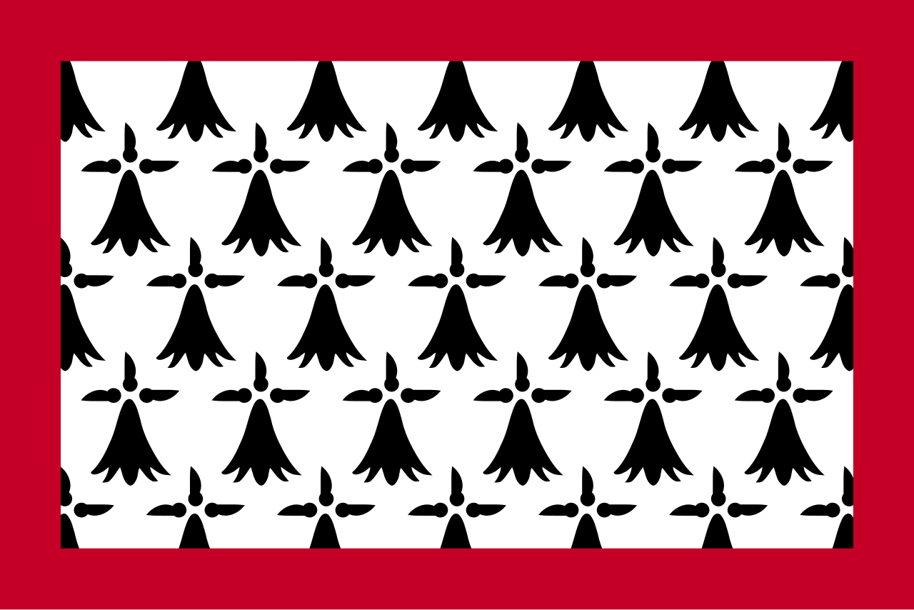 1. Meaning of the Flag