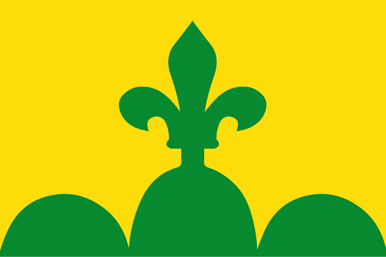 1. Meaning of the Flag