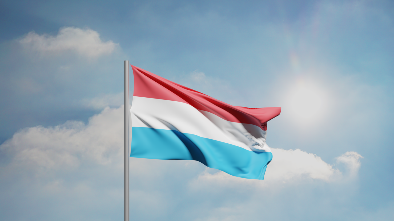 1. Meaning of the Flag