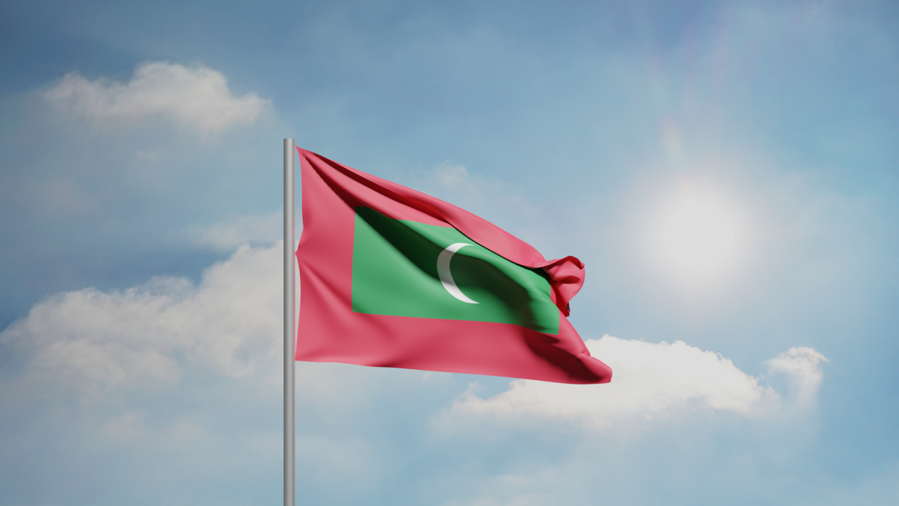 1. Meaning of the Flag