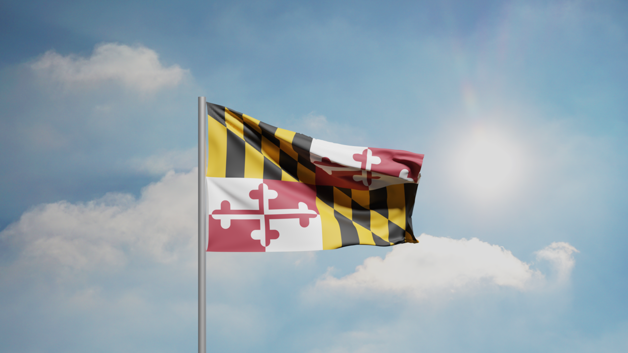 1. Meaning of the Flag