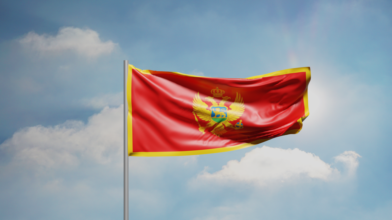 1. Meaning of the Flag