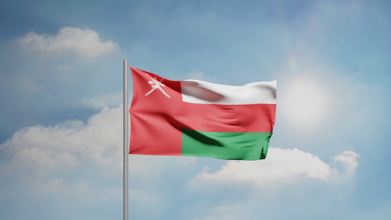 1. Meaning of the Flag