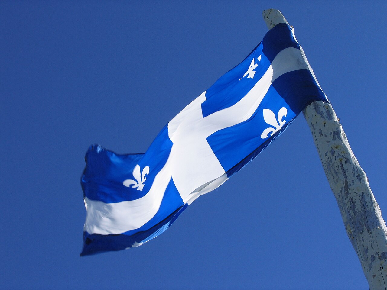 1. Meaning of the Flag