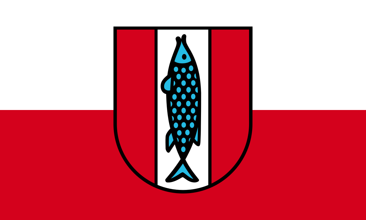 1. Meaning of the Flag
