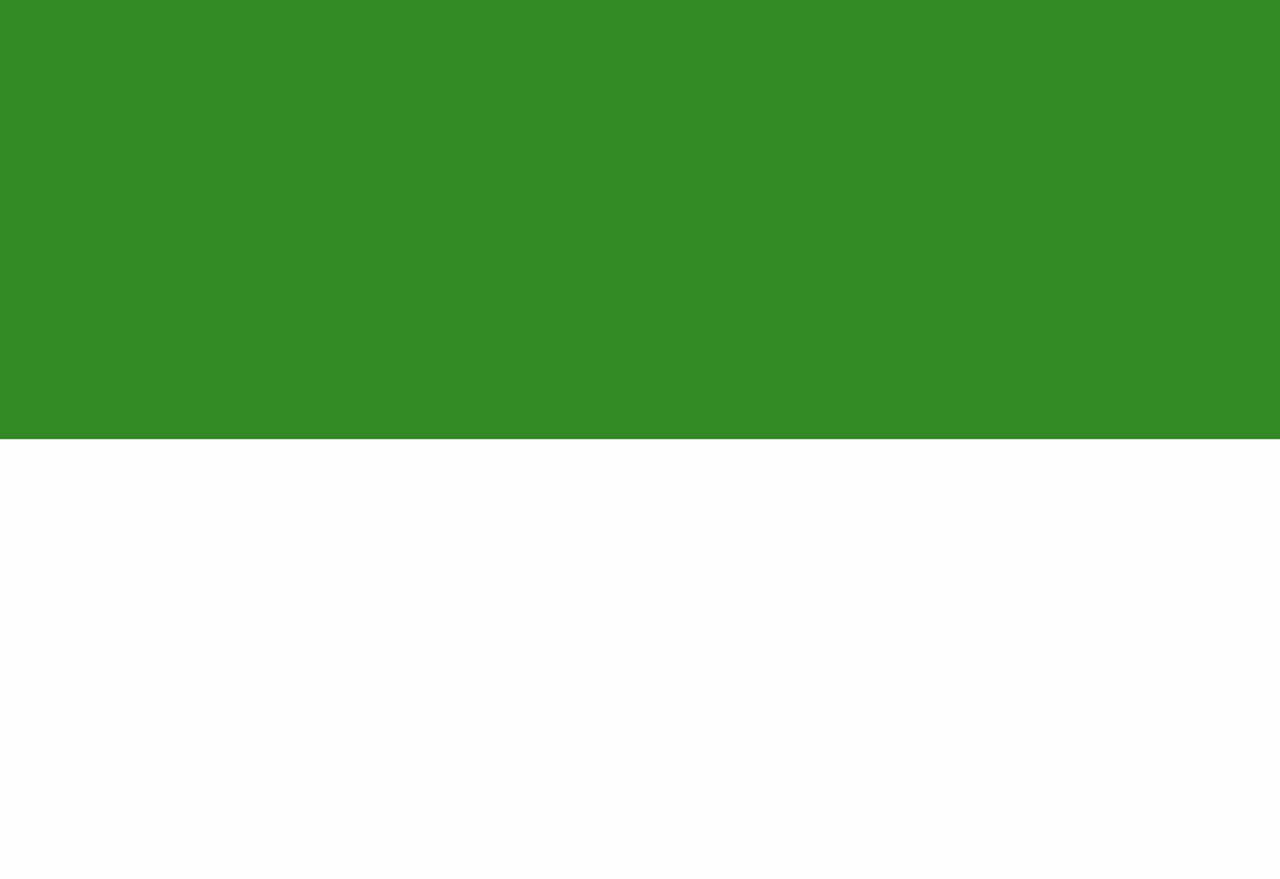 1. Meaning of the Flag