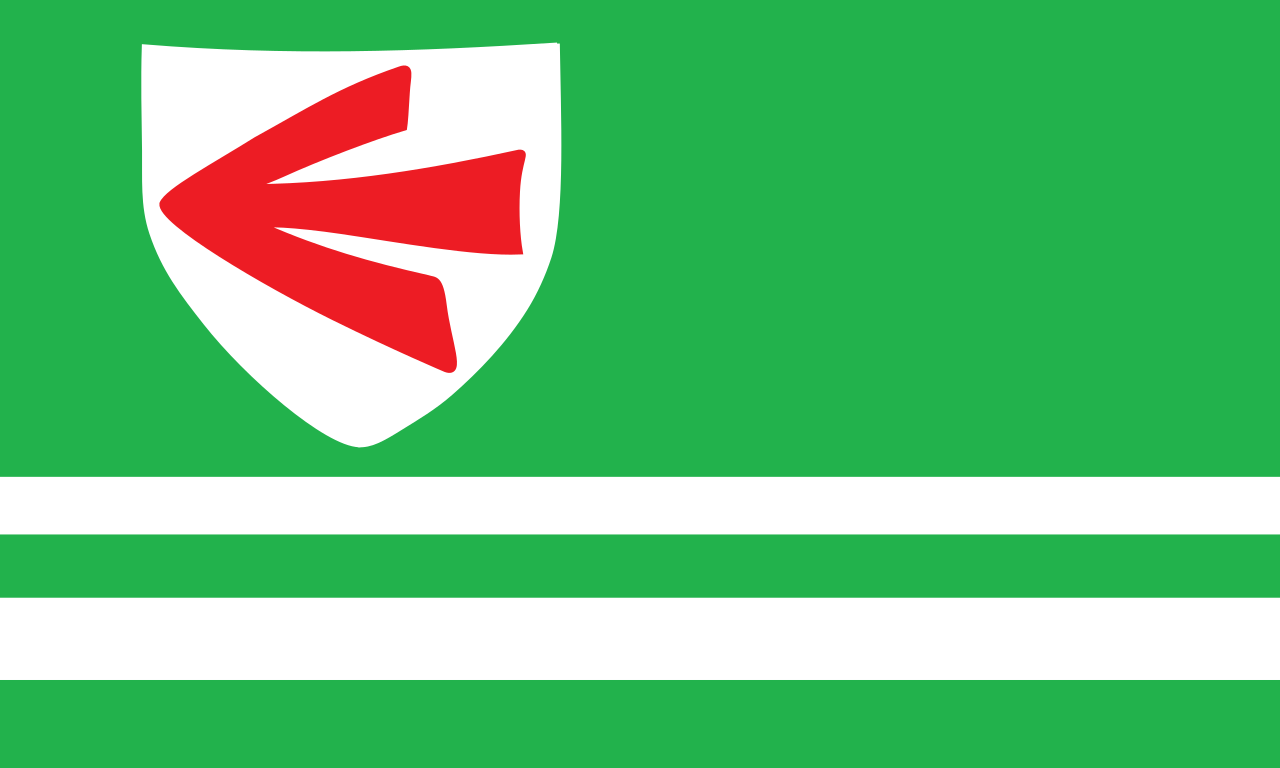 1. Meaning of the Flag