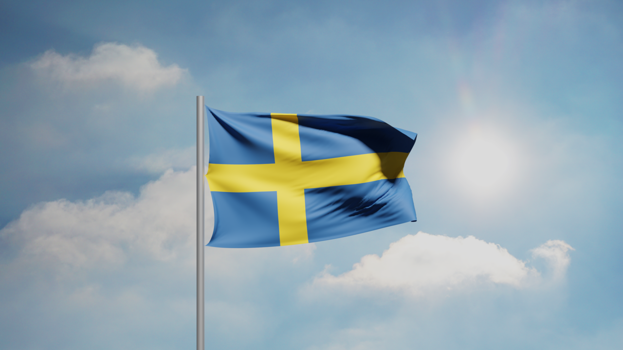 1. Meaning of the Flag