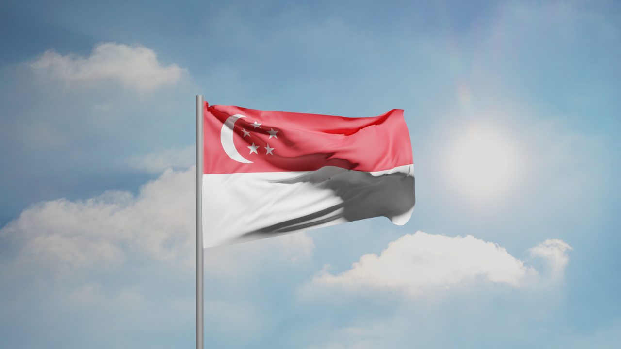 1. Meaning of the Flag