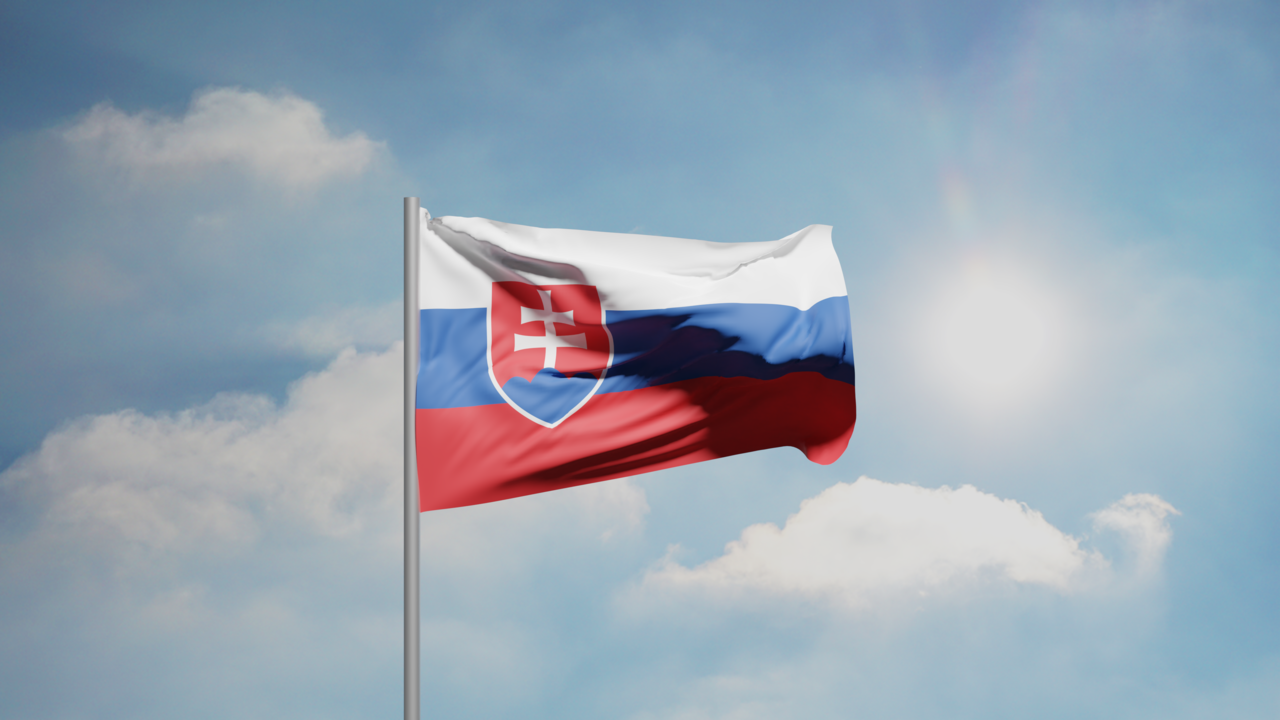 1. Meaning of the Flag