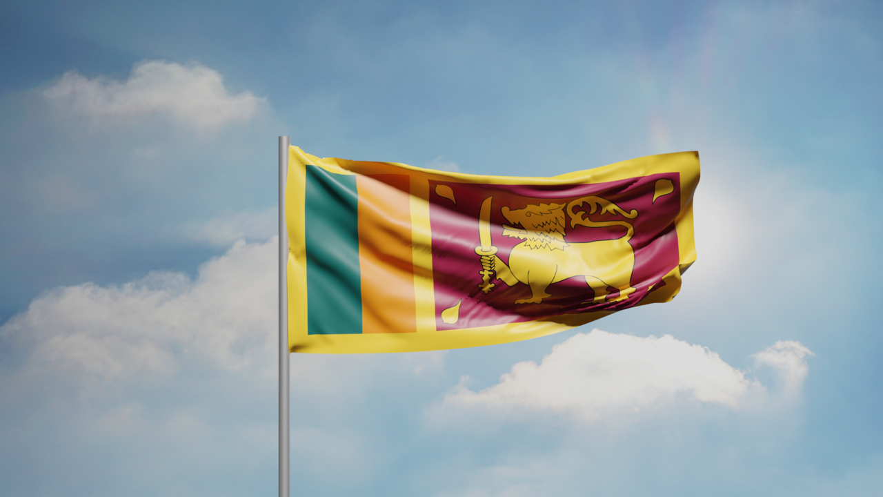 1. Meaning of the Flag