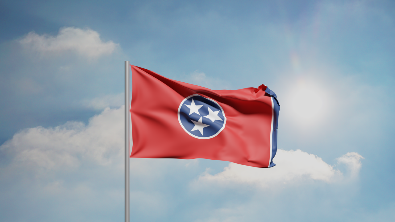 1. Meaning of the Flag