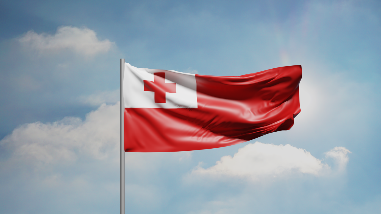 1. Meaning of the Flag