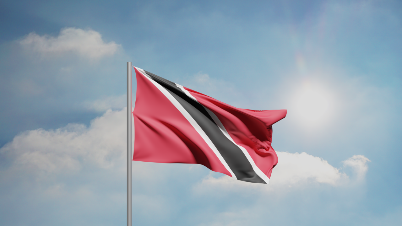 1. Meaning of the Flag