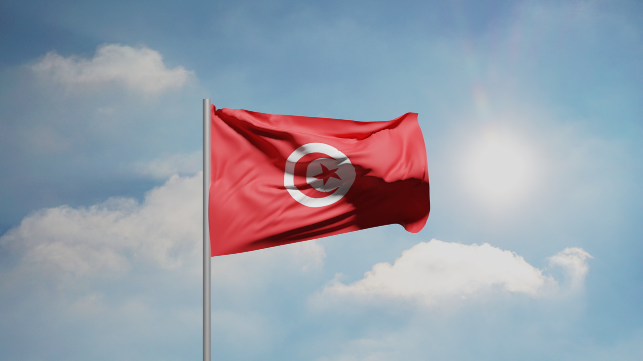 1. Meaning of the Flag