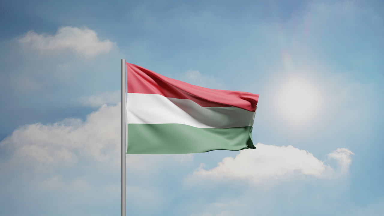 1. Meaning of the Flag