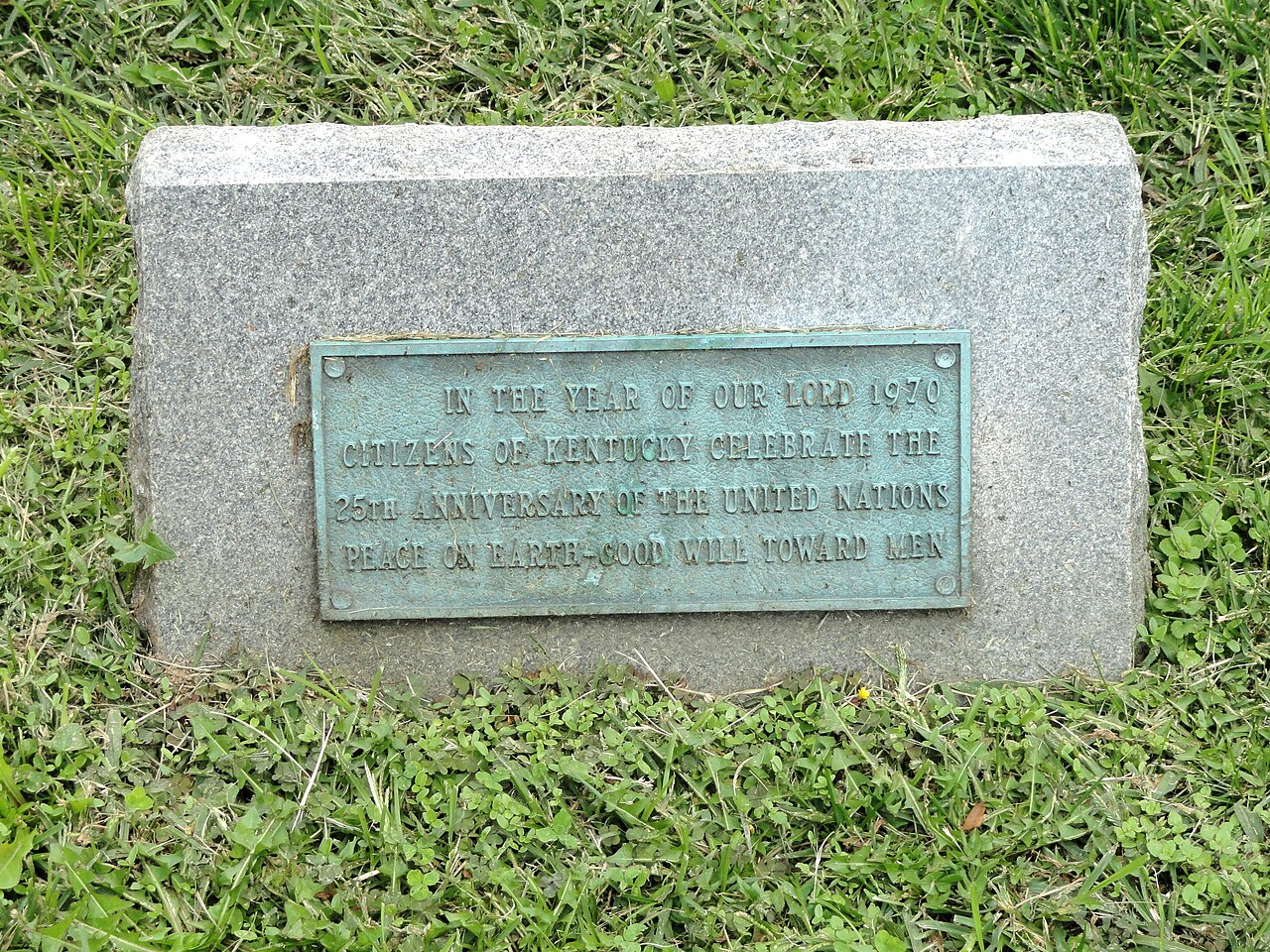 2. History of the Organization