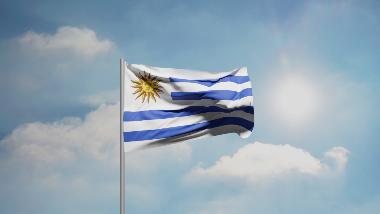 1. Meaning of the Flag