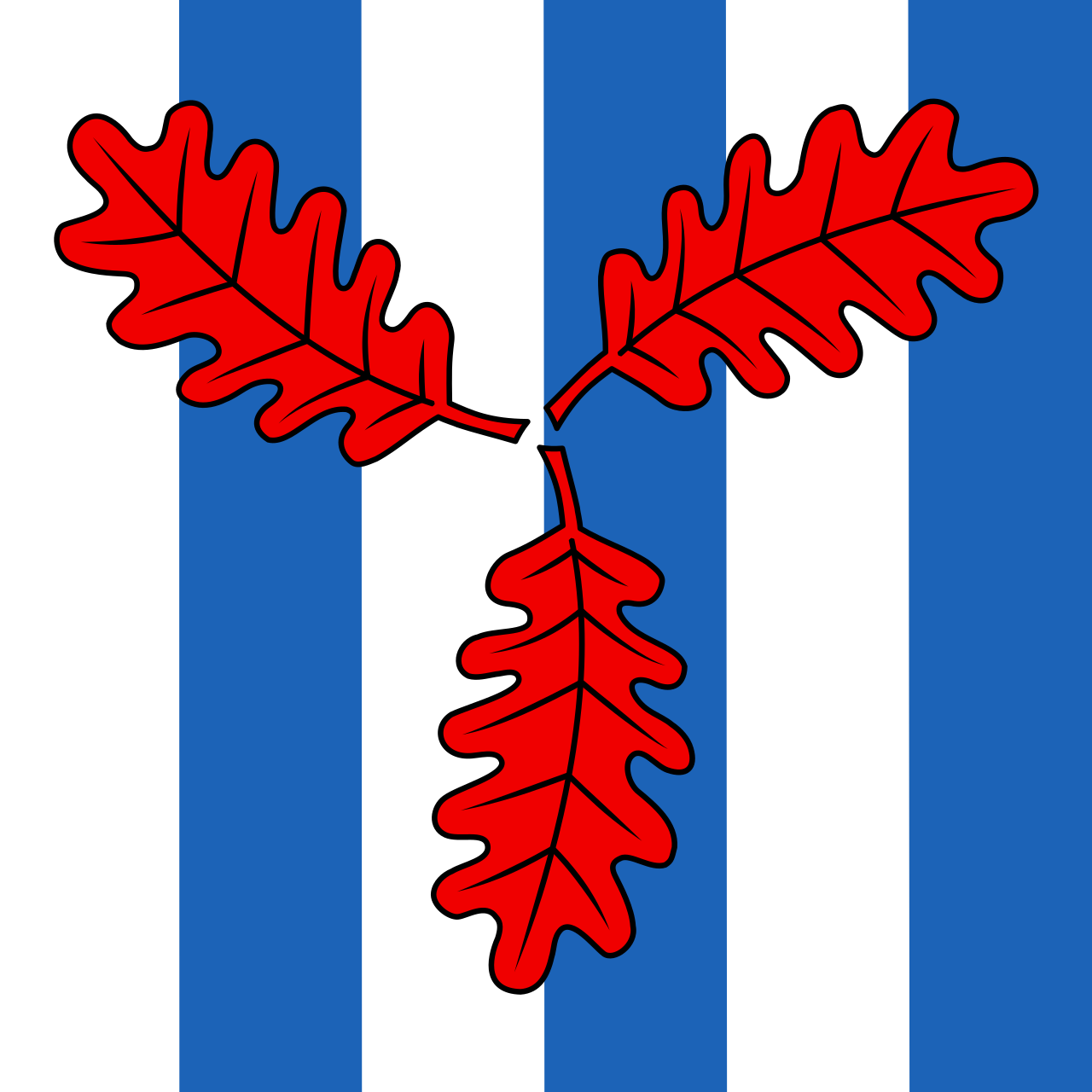 1. Meaning of the Flag