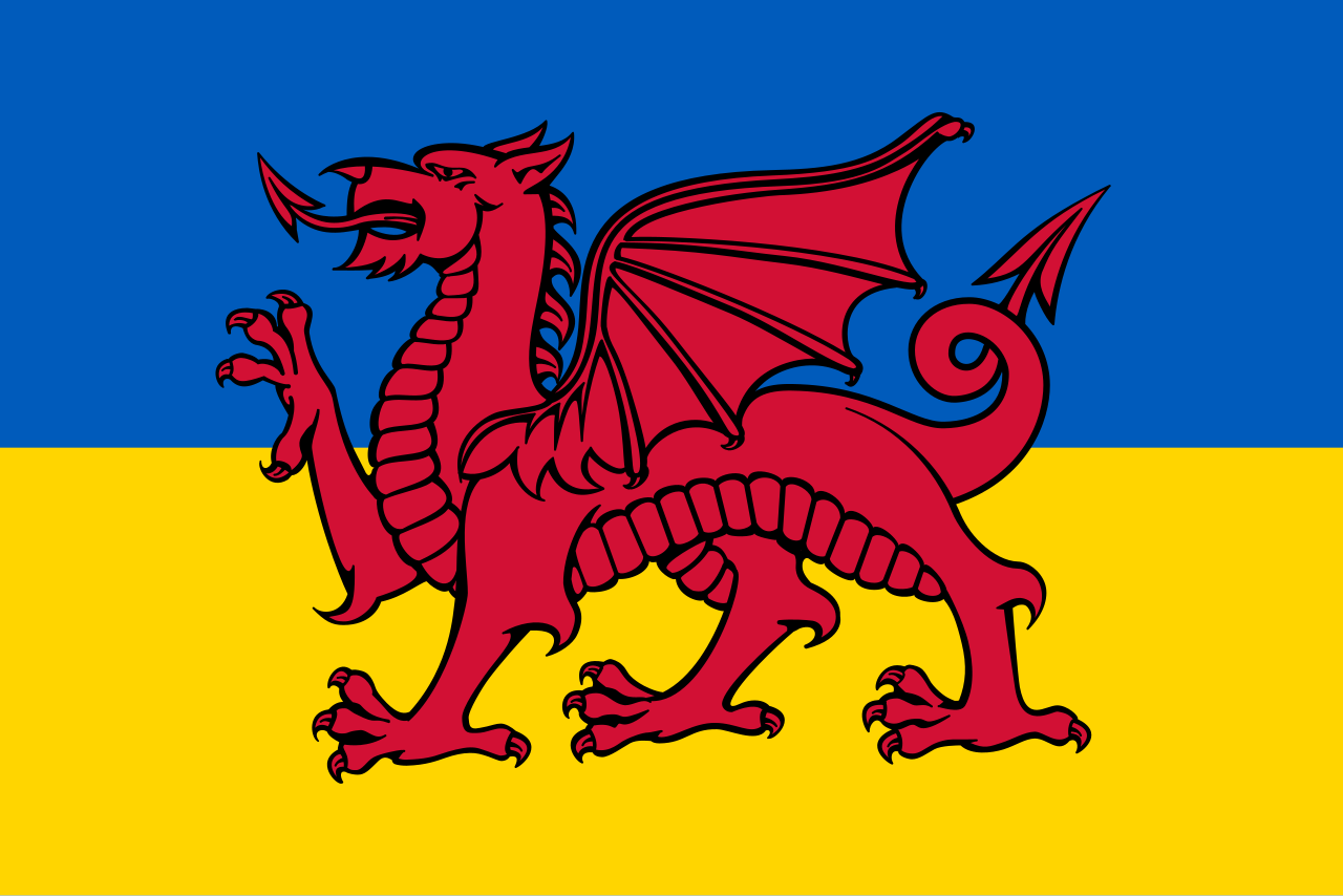 1. Meaning of the Flag