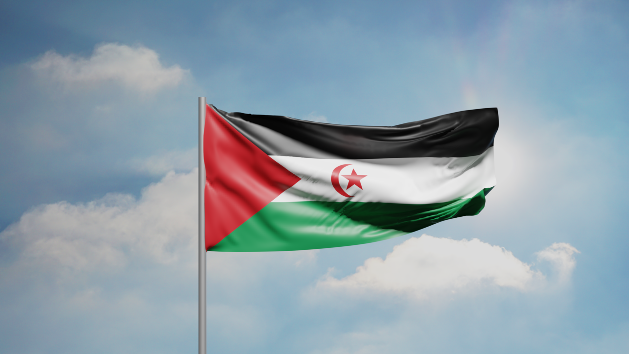1. Meaning of the Flag