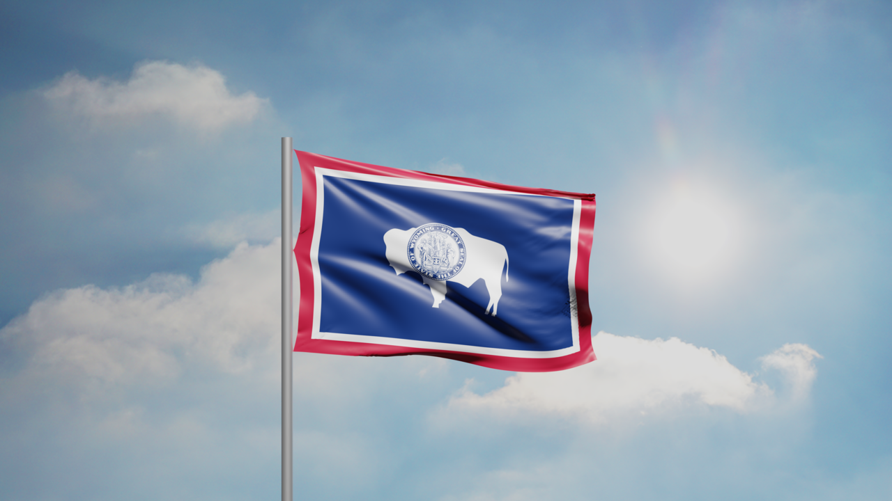 1. Meaning of the Flag
