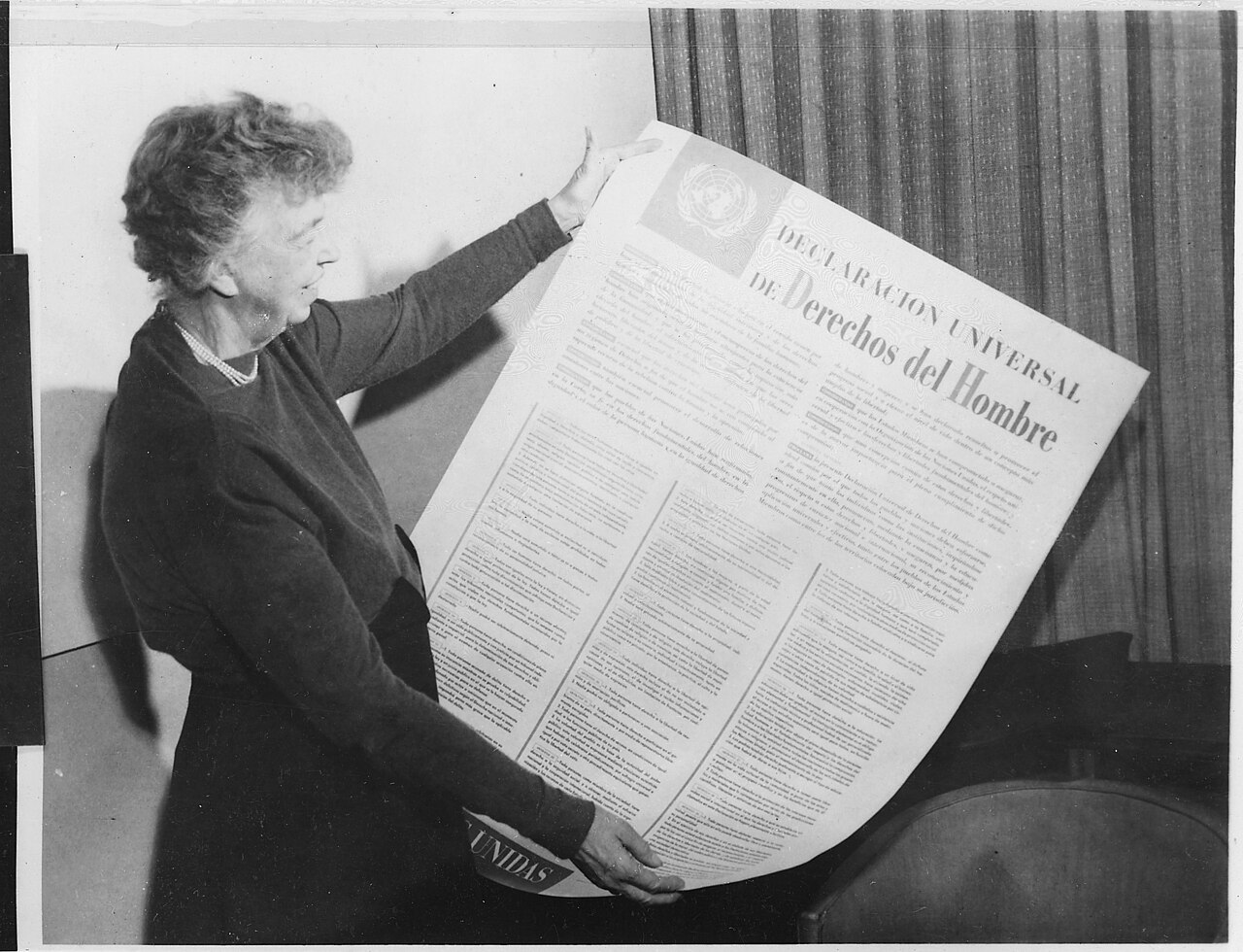 2. History of the Organization