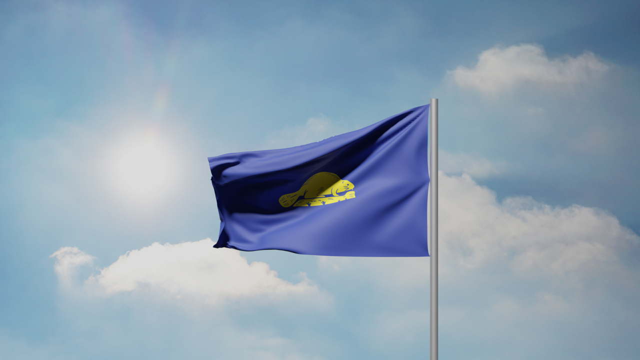 1. Meaning of the Flag